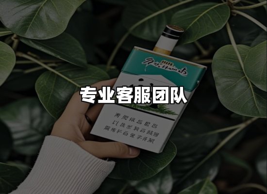 专业优势